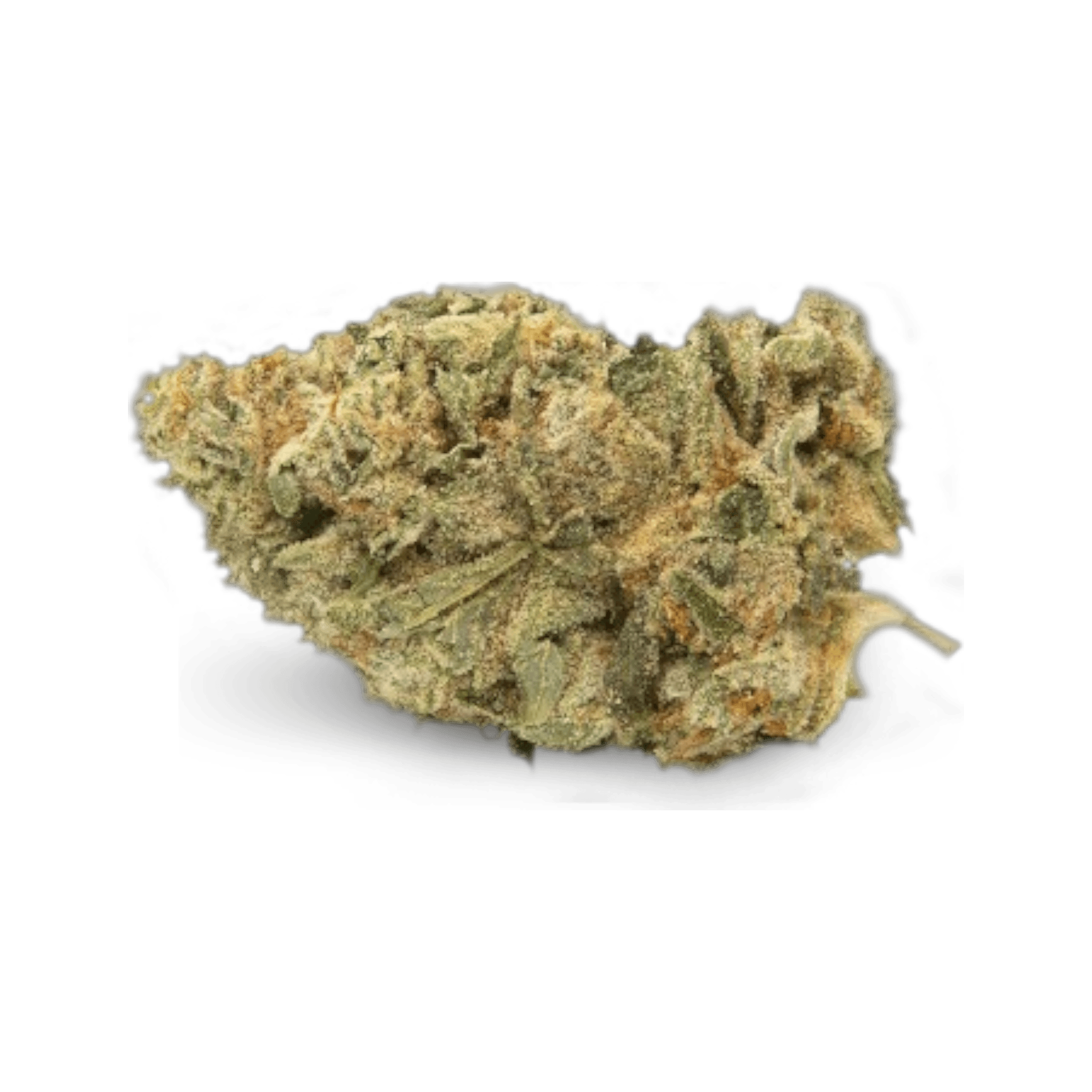 Tilray THC25 Spotlight Montevideo GG