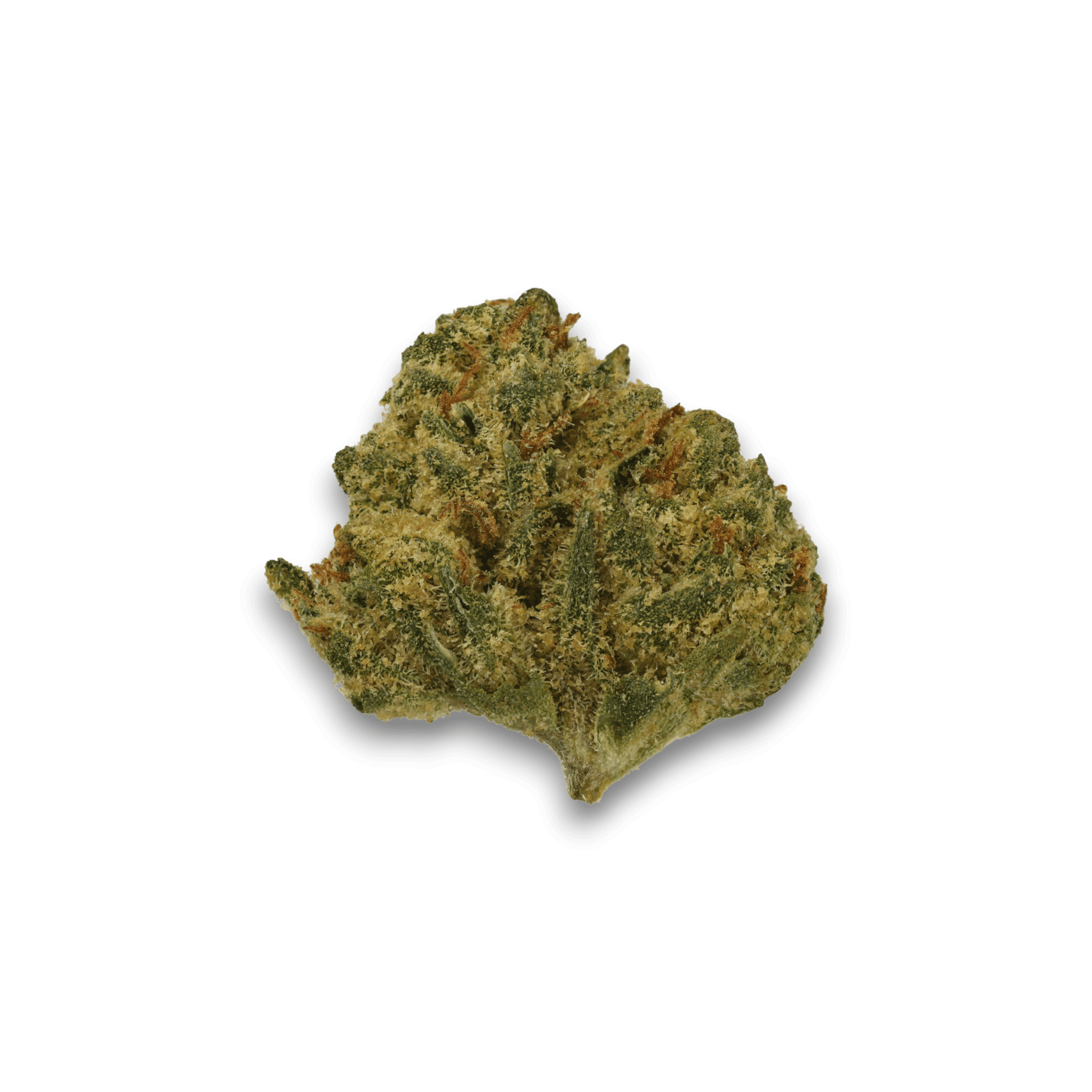 Med. Cannabis