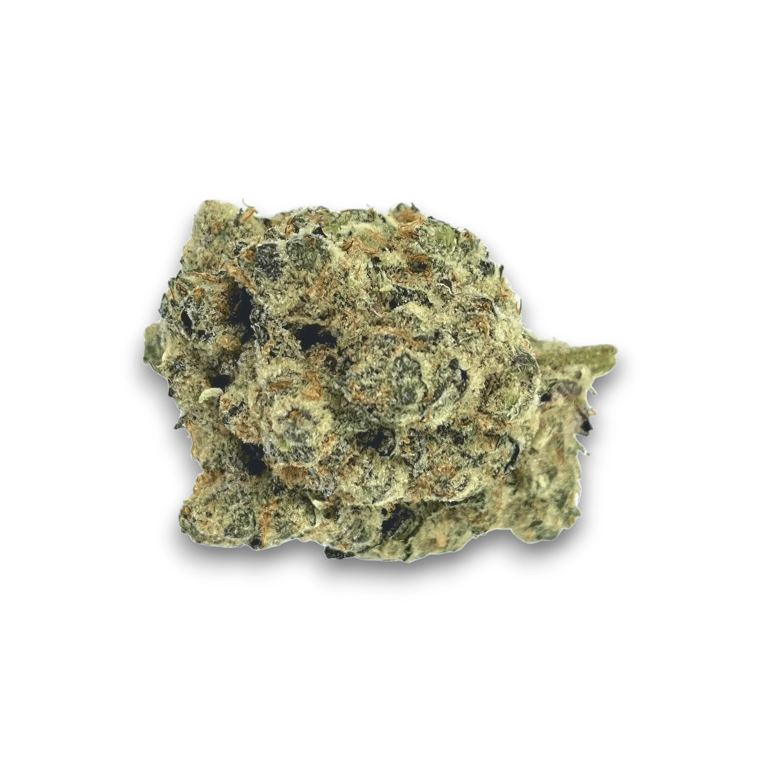 Med. Cannabis