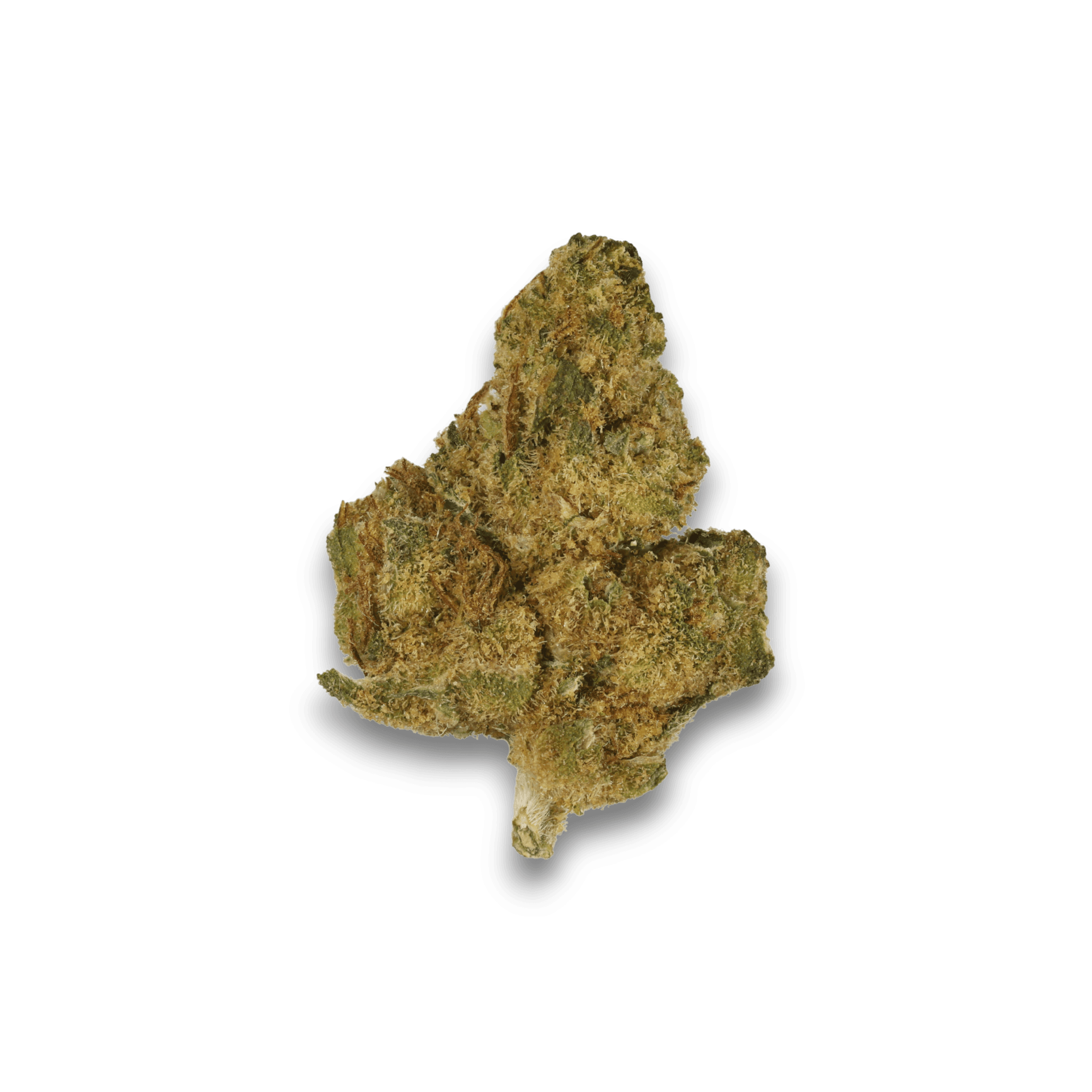 Med. Cannabis