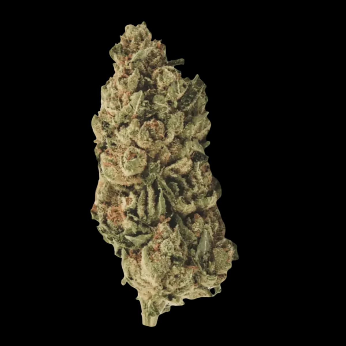 Med. Cannabis