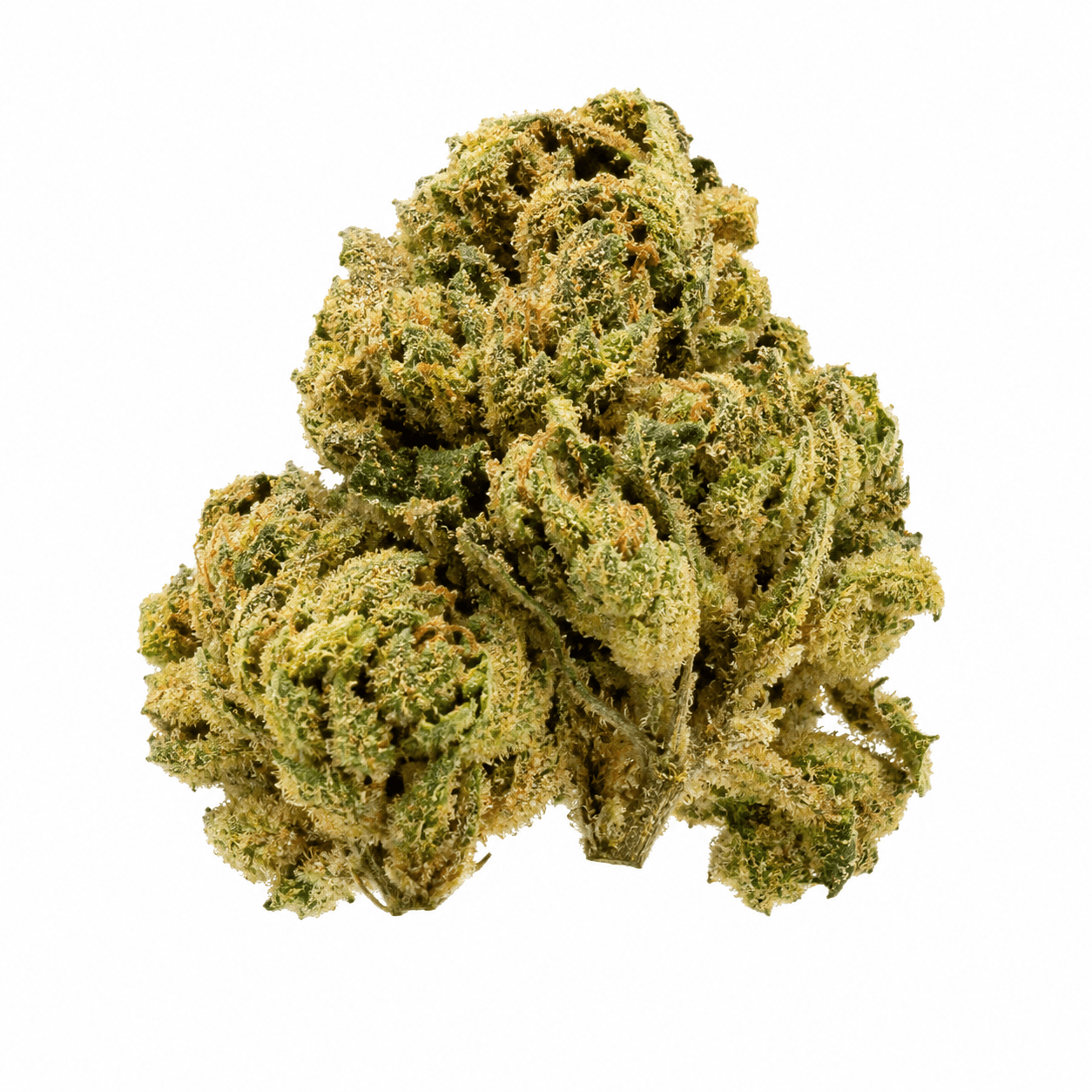 Med. Cannabis