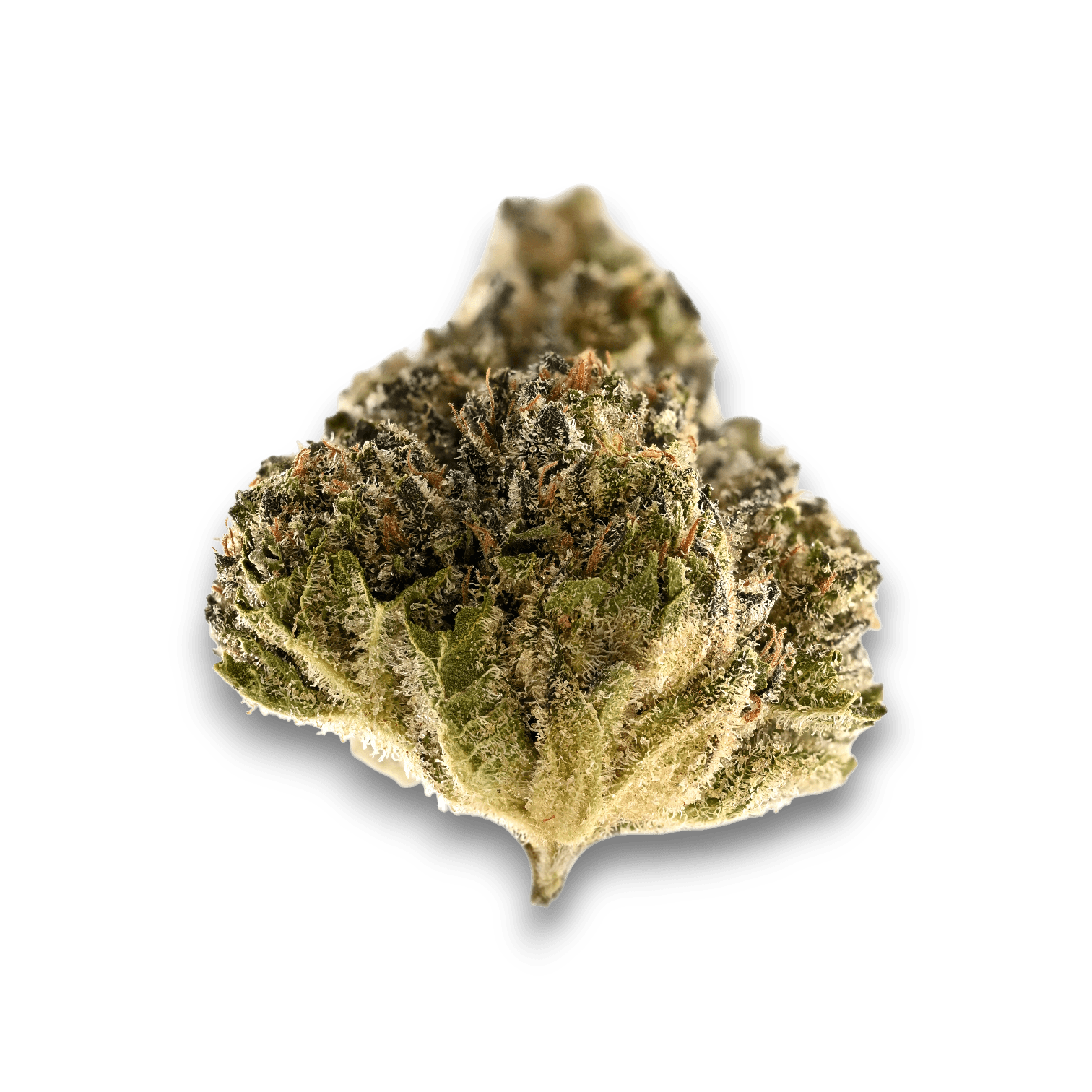 Med. Cannabis