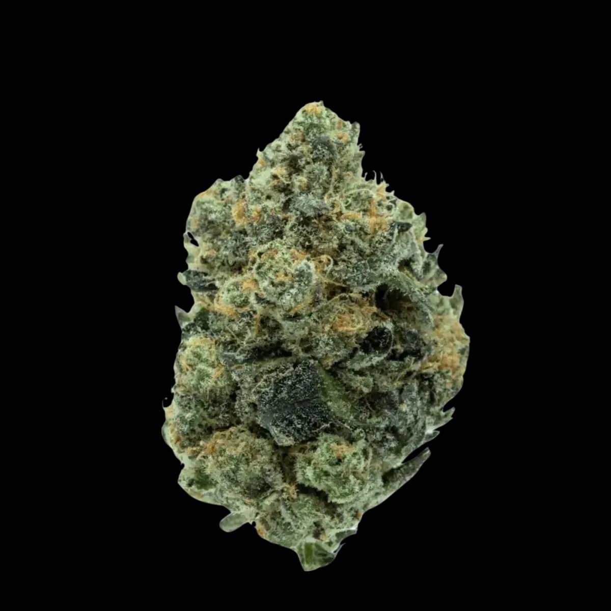 Med. Cannabis