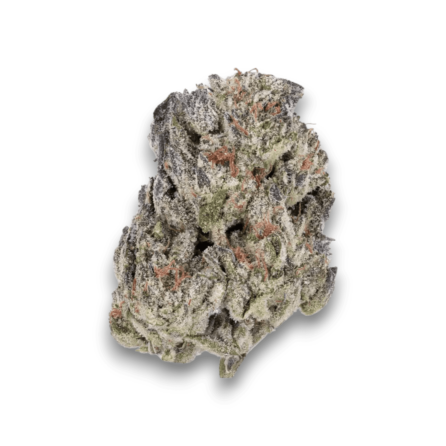 TRUU LX 27/1 GMO Cookies x Kush Mintz