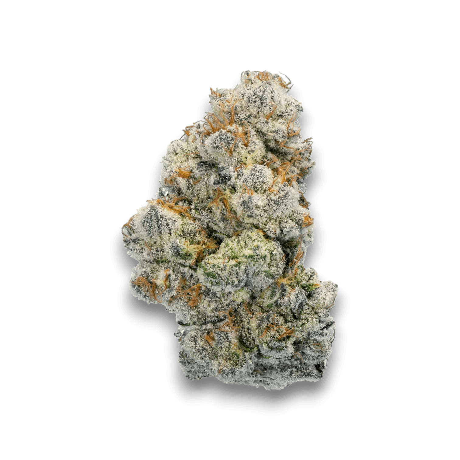 Med. Cannabis