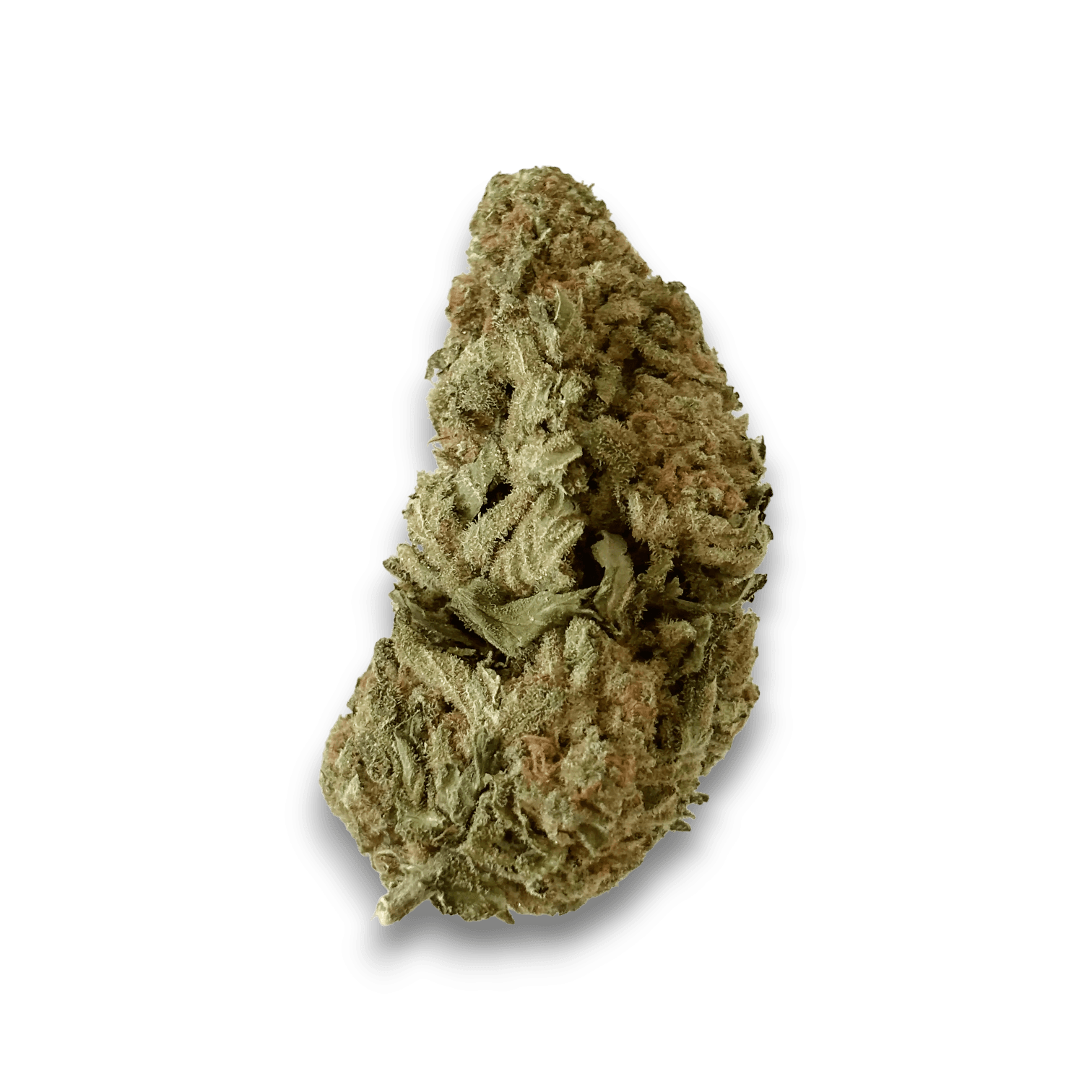 Med. Cannabis