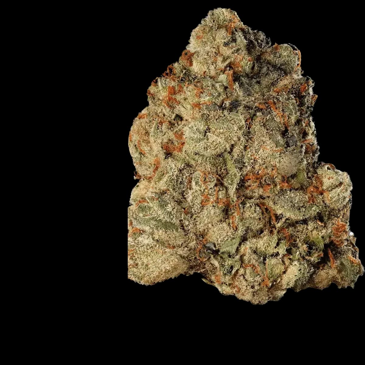 Med. Cannabis