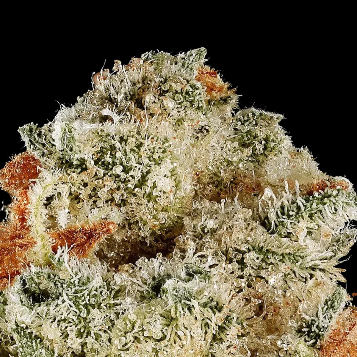 Med. Cannabis