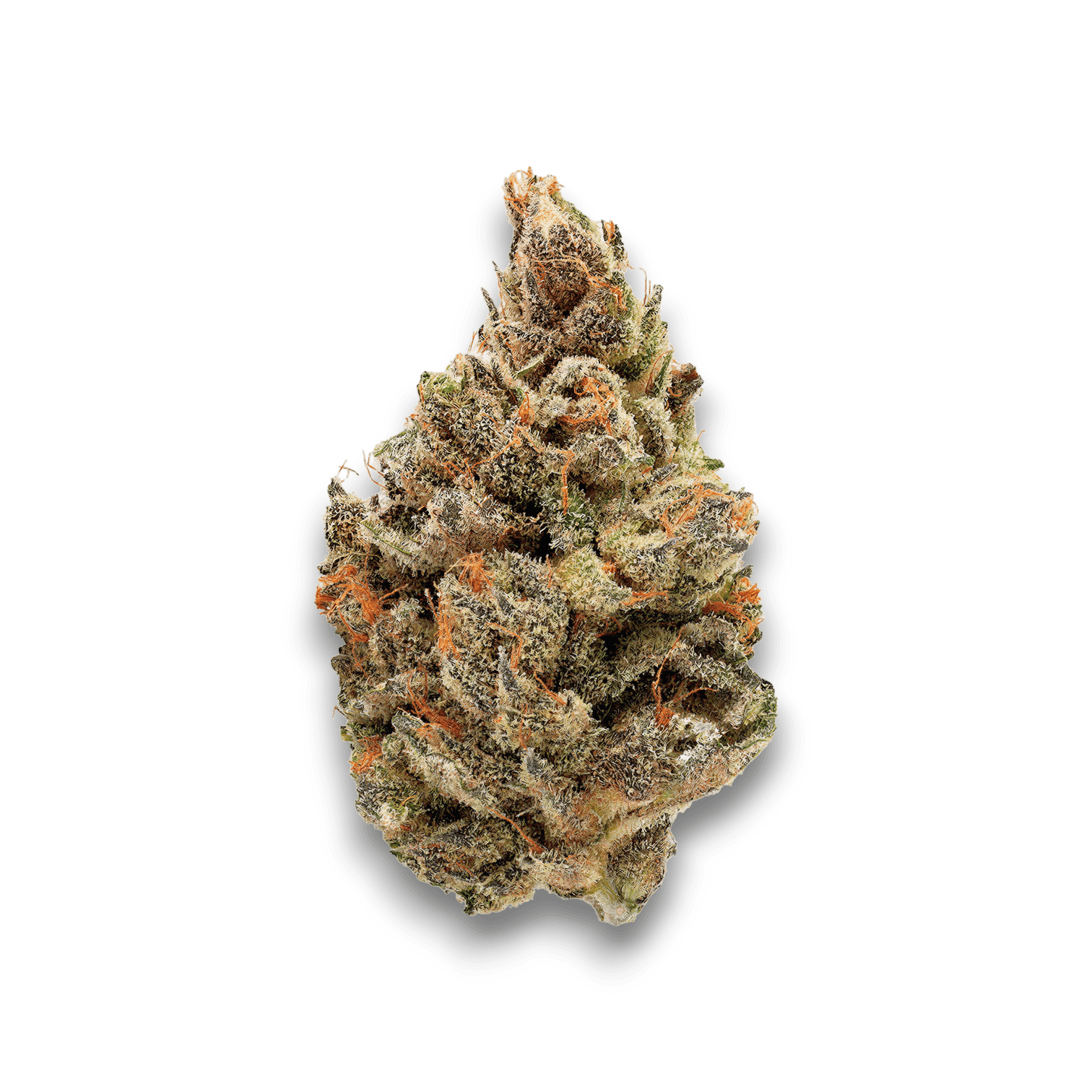 Med. Cannabis