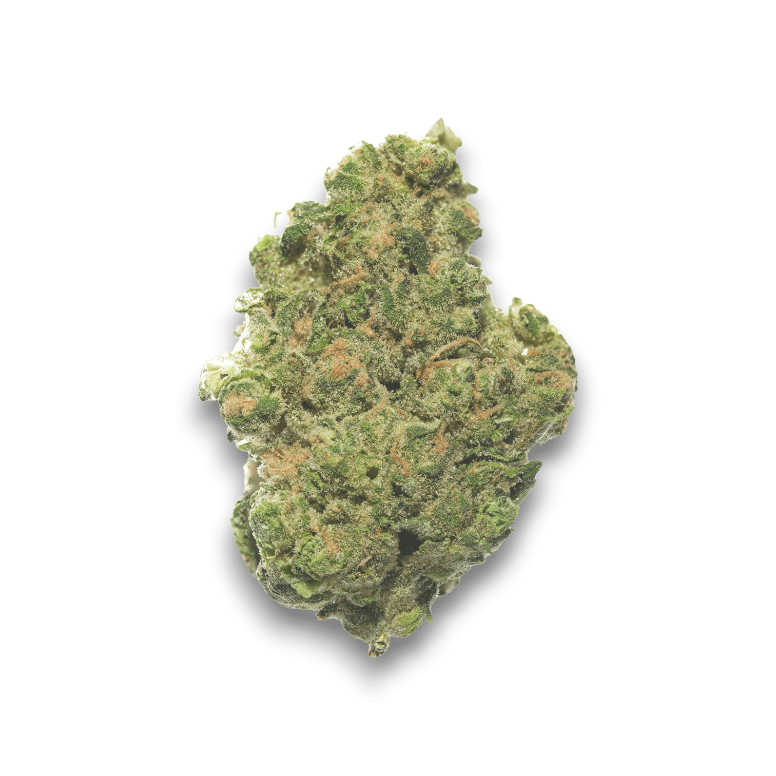 Med. Cannabis