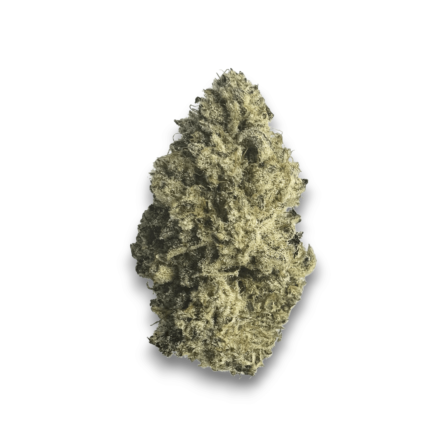 Med. Cannabis