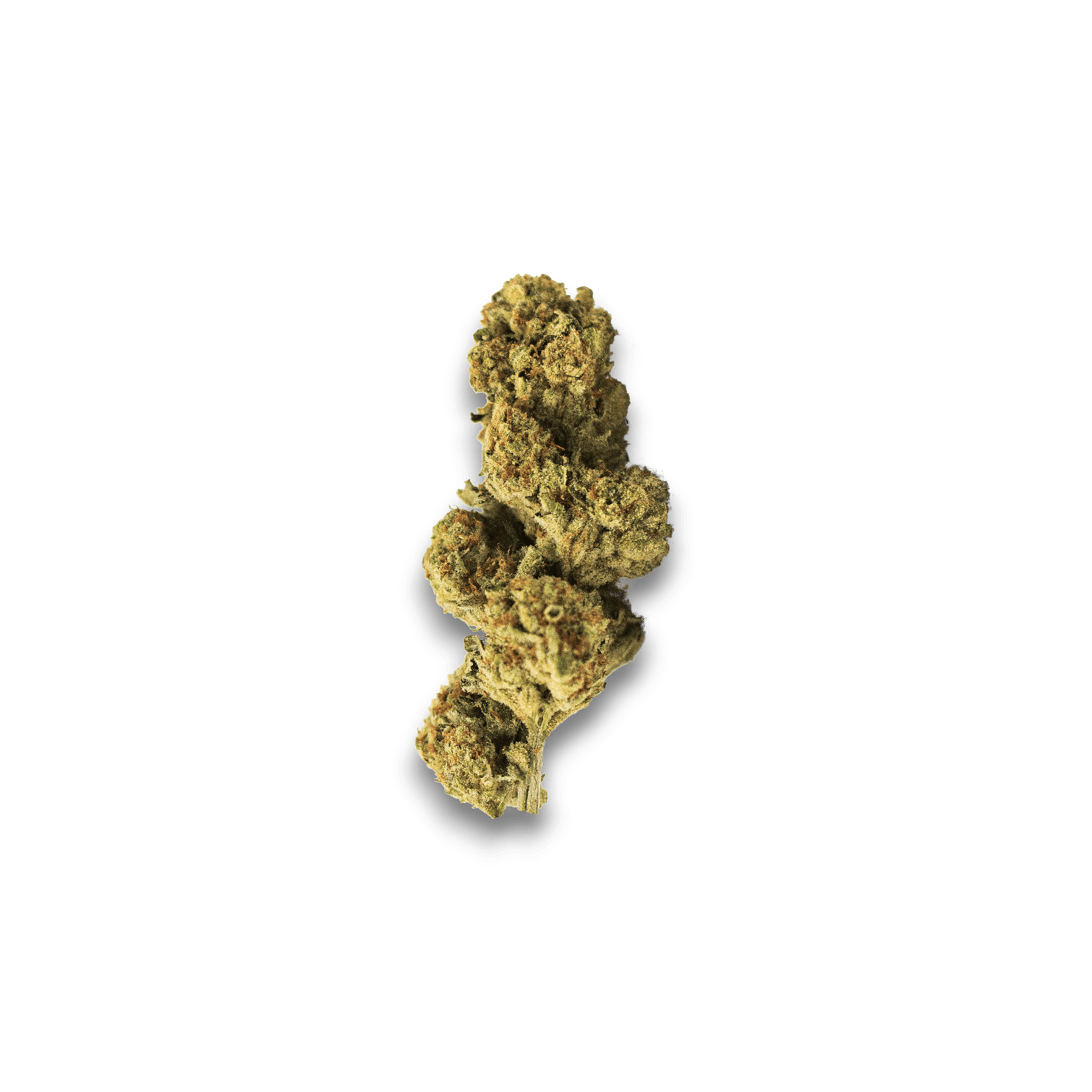 Med. Cannabis