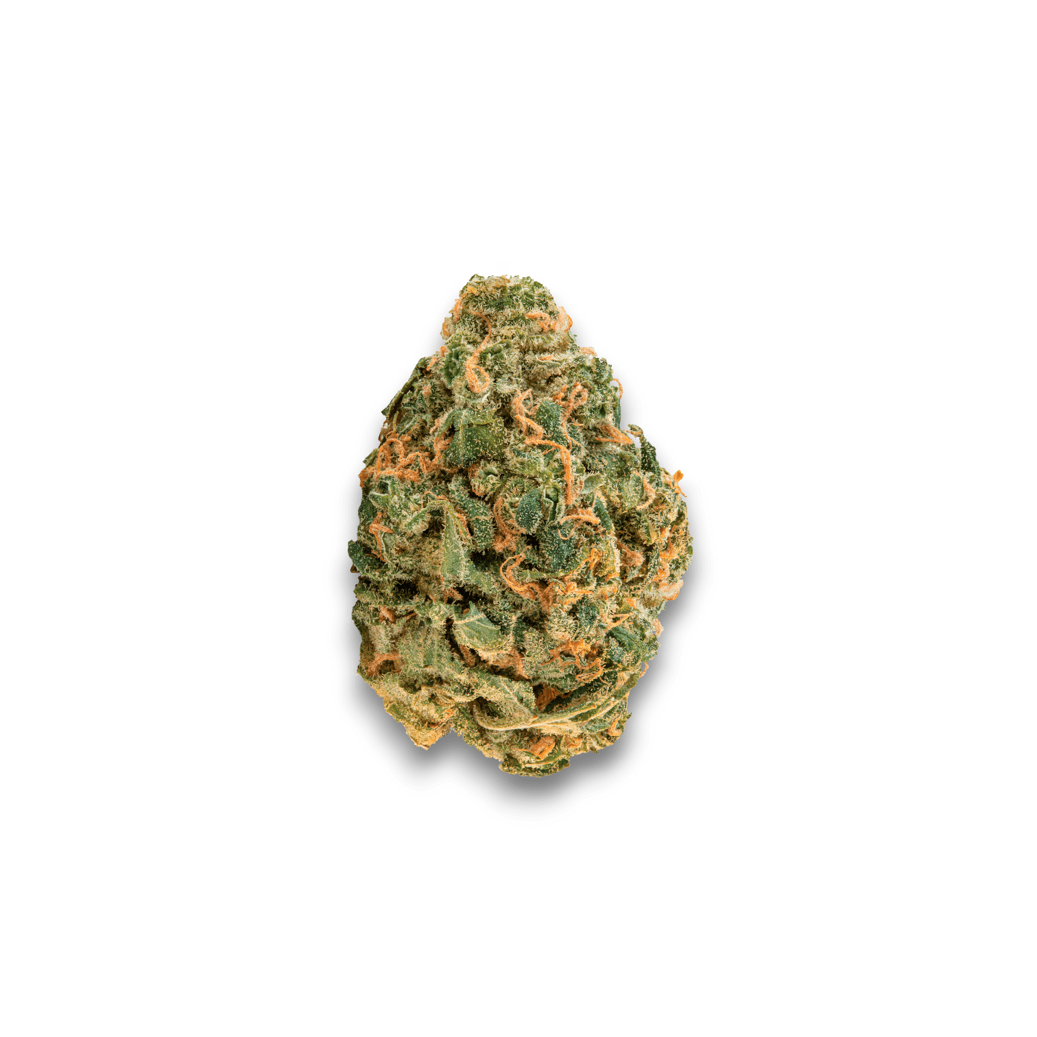 Med. Cannabis