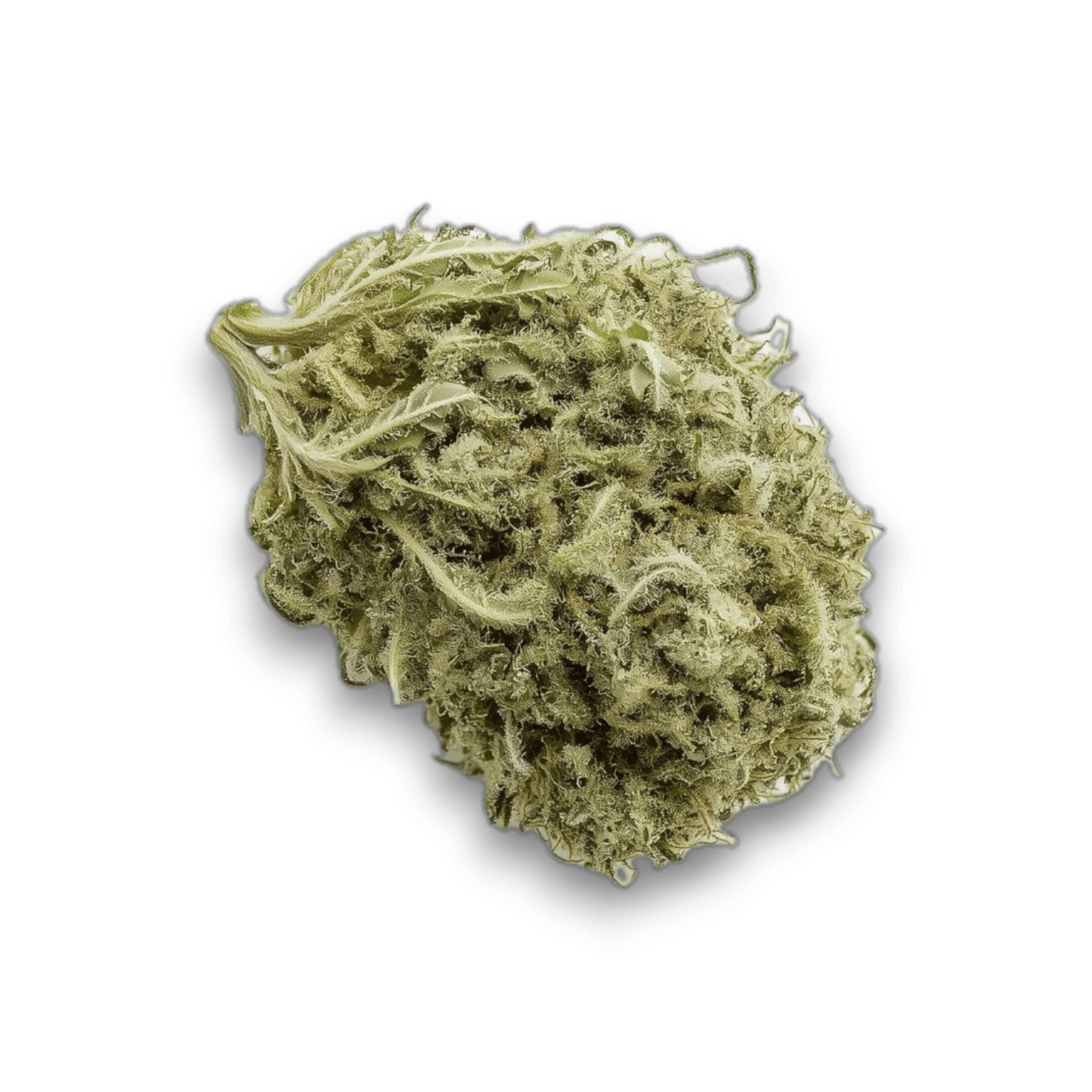 Med. Cannabis