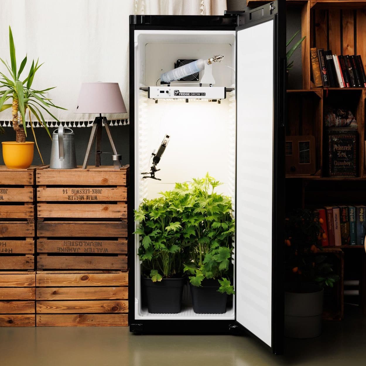 Jetzt ansehen Growbox Fridge Grow 2.0