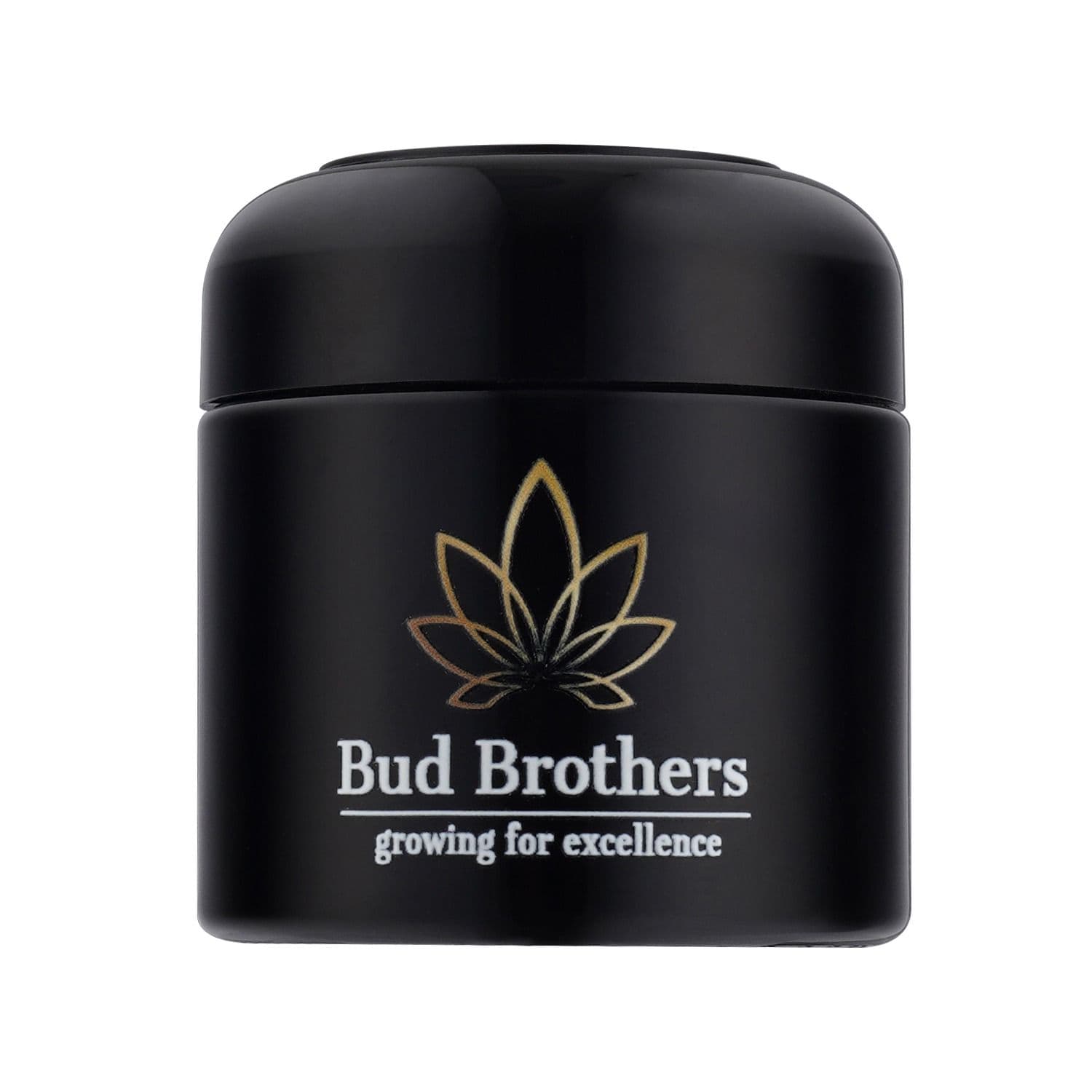 Jetzt ansehen Bud Brothers Humidor 8