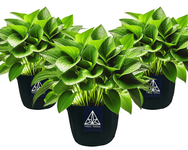Jetzt ansehen Treez Tools Grow Topf 12L (3er Set)