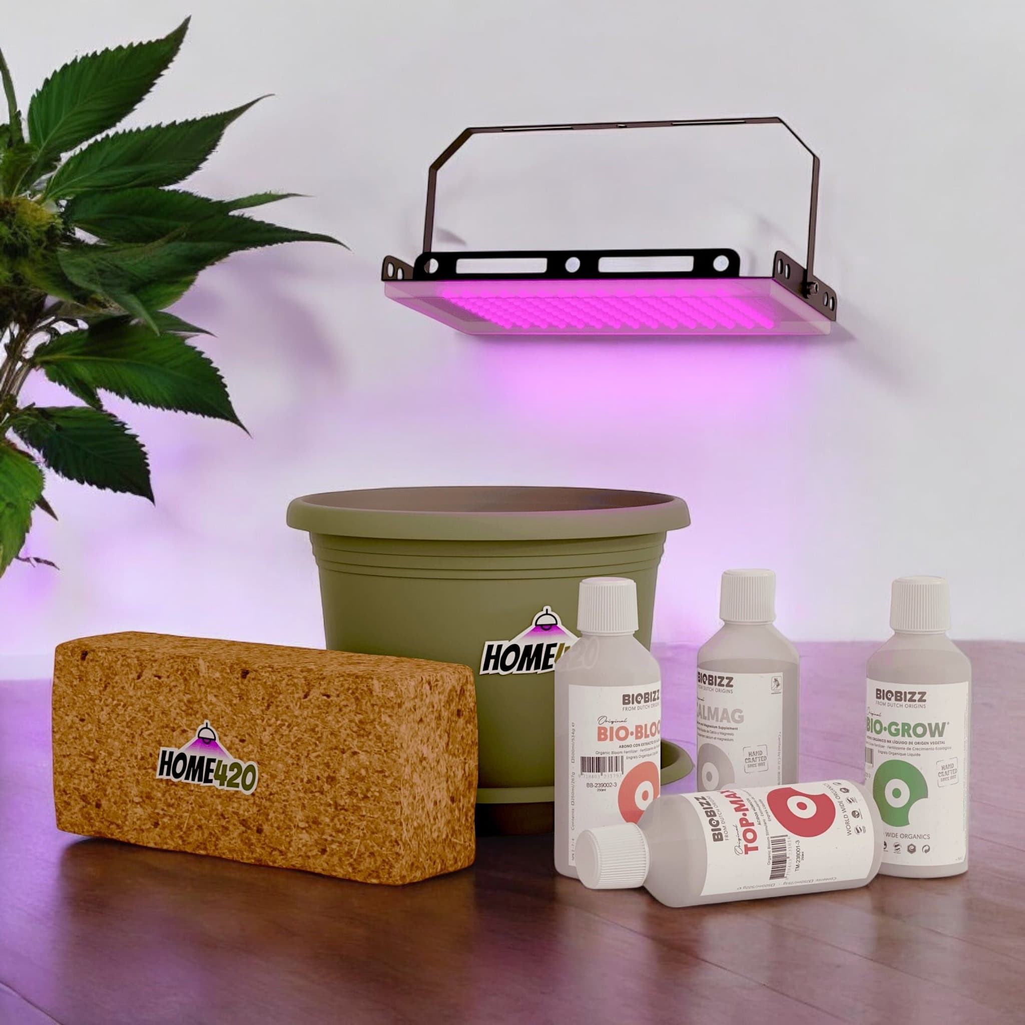 Jetzt ansehen Home420 Grow Set
