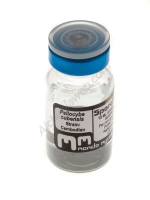 Jetzt ansehen Mondo Cambodia spores vial