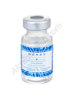Jetzt ansehen Mondo Ecuador spores vial