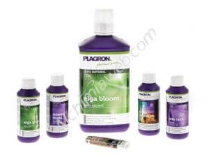 Jetzt ansehen PLAGRON Top Grow Box Bio