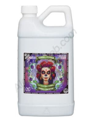 Jetzt ansehen La Calavera Catrina