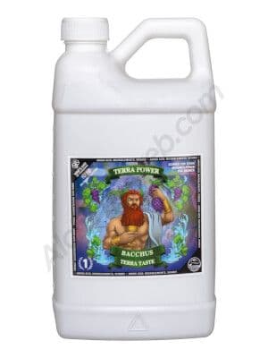 Jetzt ansehen Bacchus