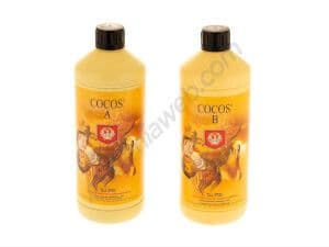 Jetzt ansehen H&G Cocos A+B