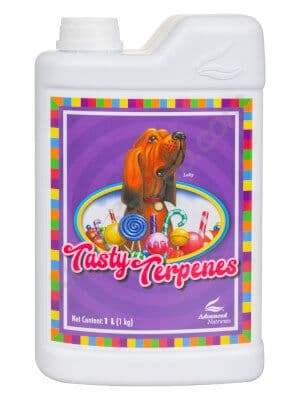 Jetzt ansehen Nirvana - Tasty Terpenes