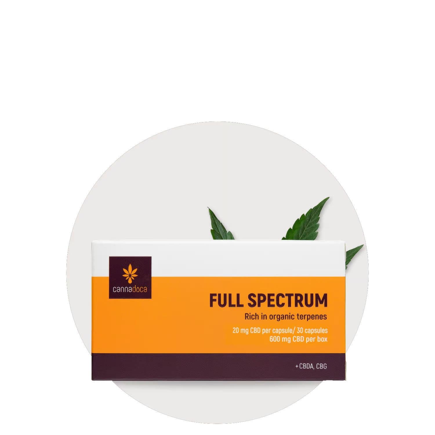 Jetzt ansehen Premium CBD Kapseln mit CBDA 600 mg Vollspektrum