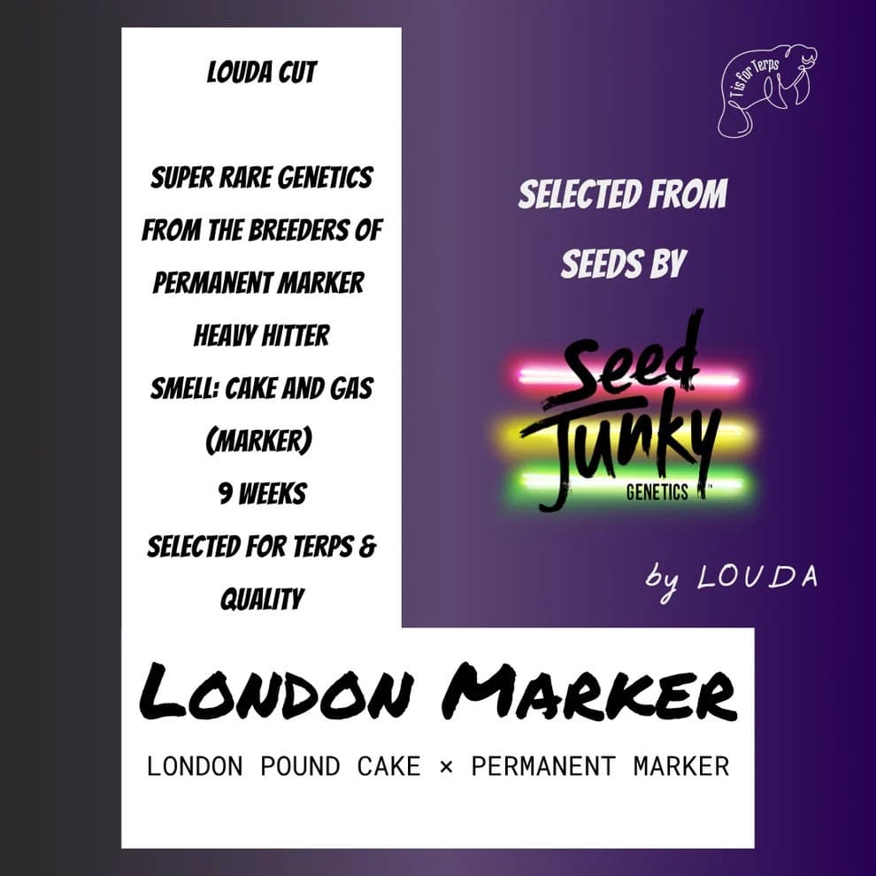 Jetzt ansehen London Marker