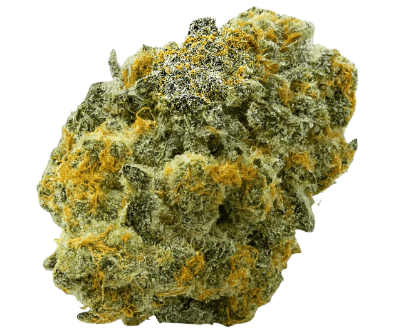 Jetzt ansehen Black Zushi