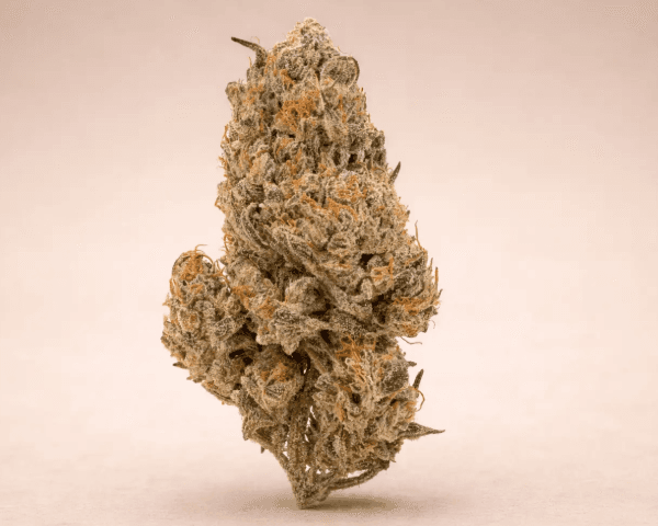 Jetzt ansehen CBD-Blüten – Super Silver Haze | 12%