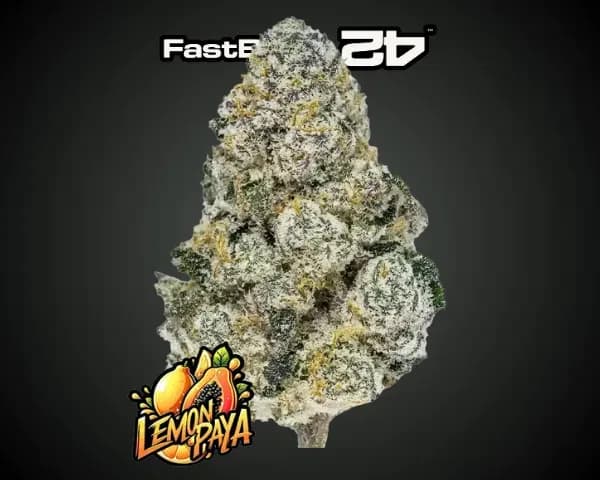 Jetzt ansehen Lemonpaya