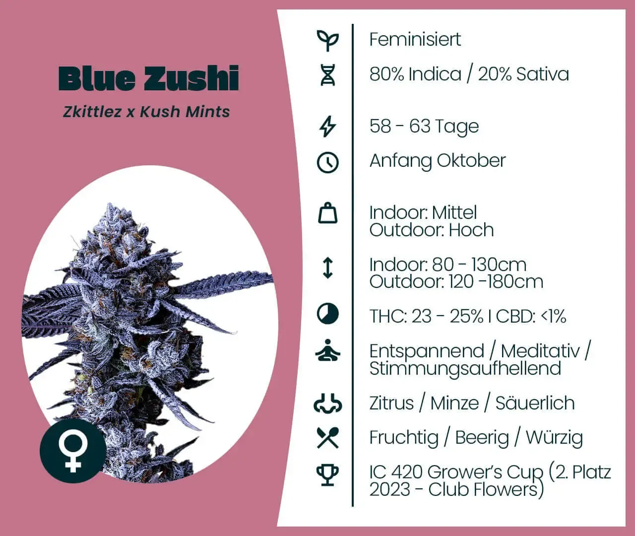 Jetzt ansehen Blue Zushi