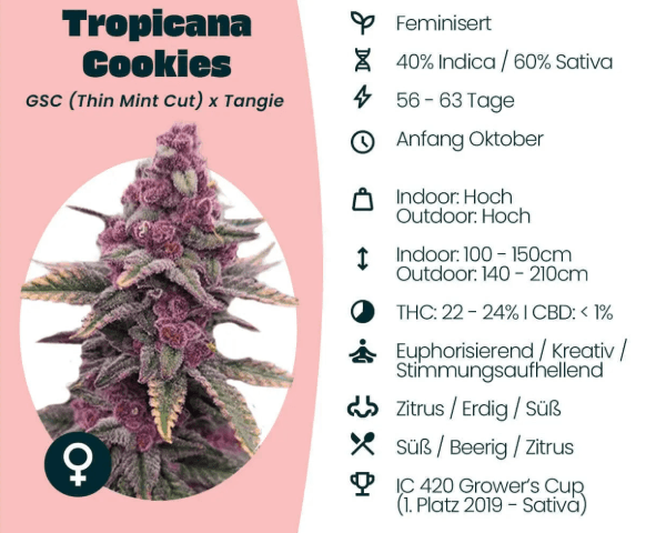 Jetzt ansehen Tropicana Cookies