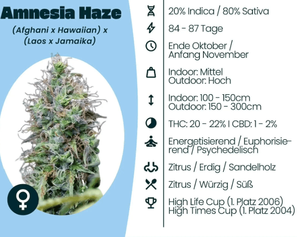 Jetzt ansehen Amnesia Haze