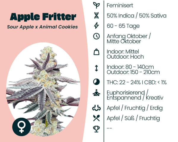 Jetzt ansehen Apple Fritter