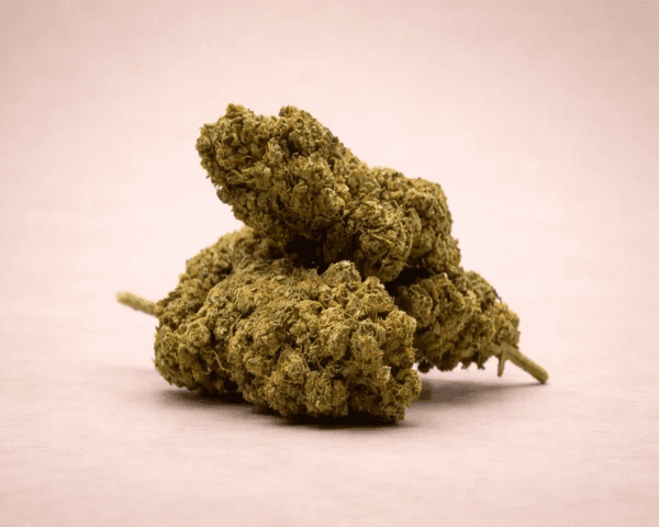 Jetzt ansehen CBD-Blüten – Watermelon | 18% CBD