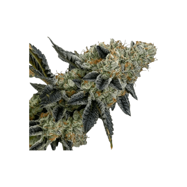 Med. Cannabis