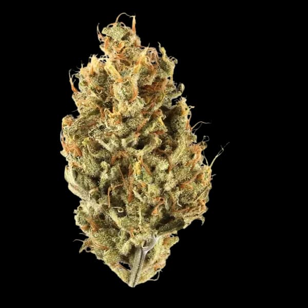 Med. Cannabis