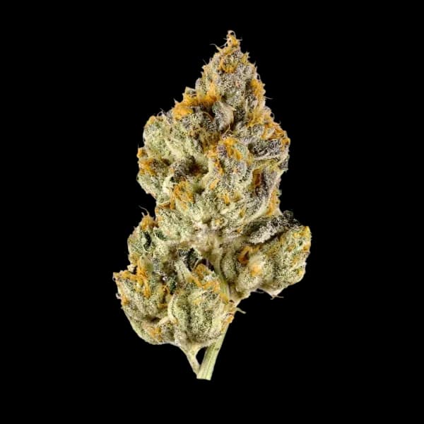 Med. Cannabis
