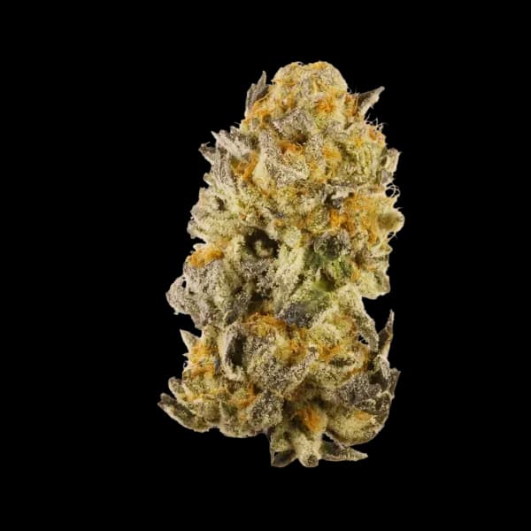 Med. Cannabis