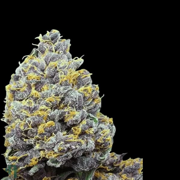 Med. Cannabis