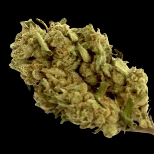 Med. Cannabis