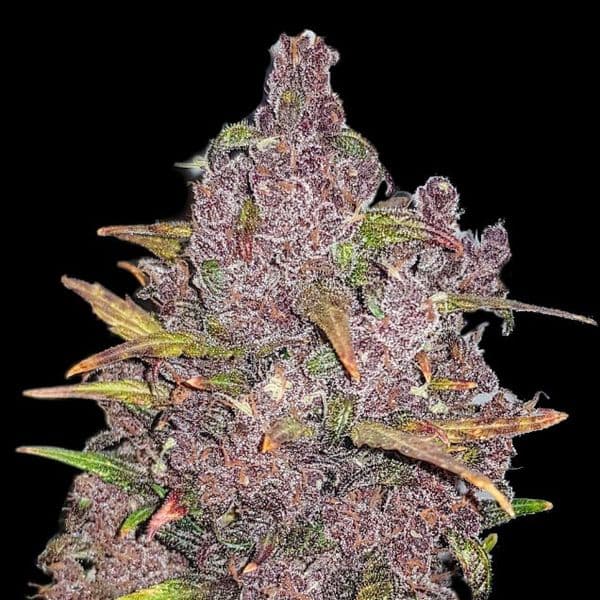 Med. Cannabis