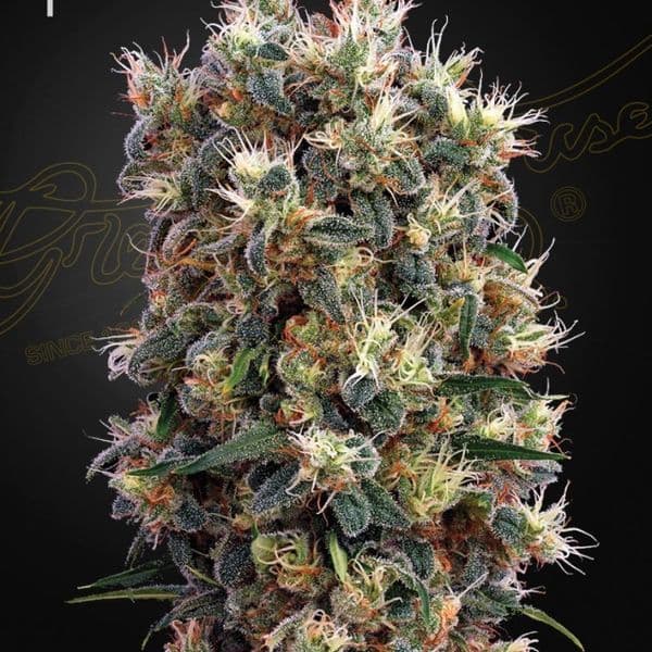 Med. Cannabis