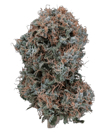 Med. Cannabis