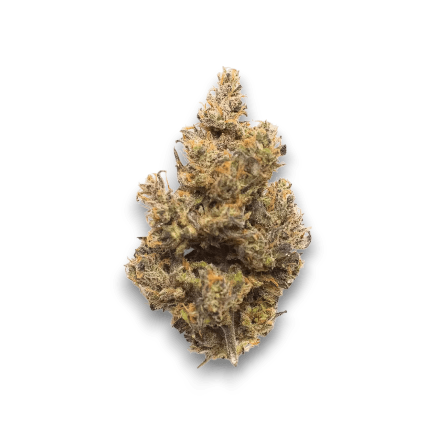 Med. Cannabis